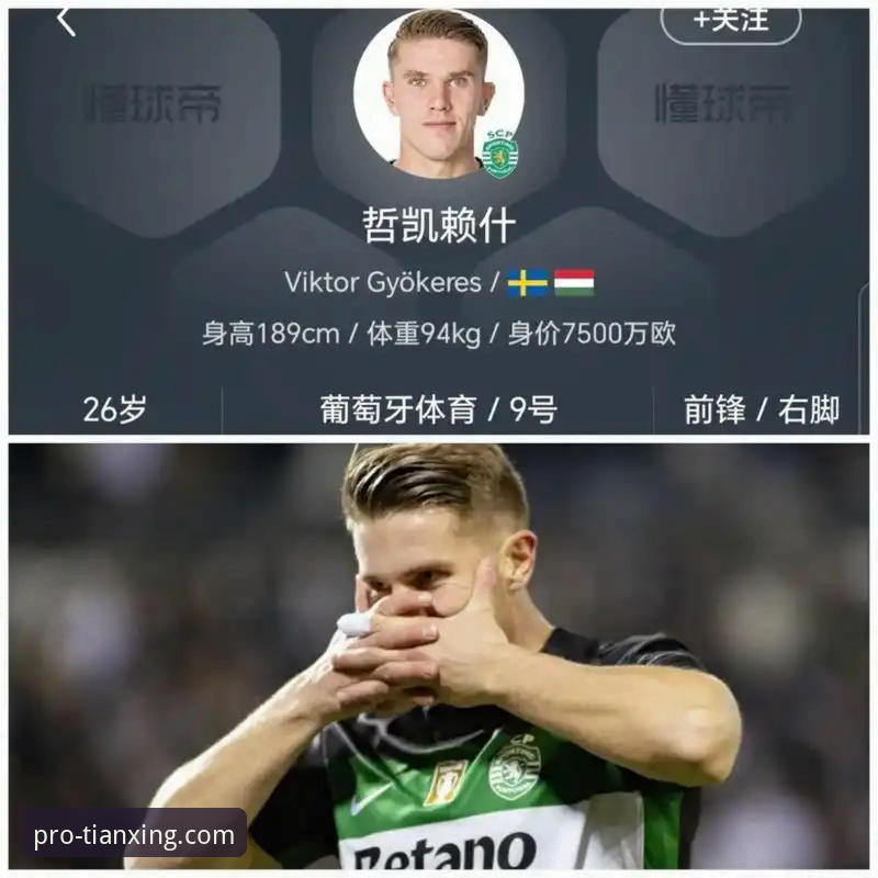 3个关键数据解读哲凯赖什20球里程碑，天行体育v2.1.0带你看懂英超新星